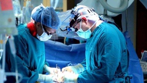 62 yaşlı kişiyə donuz böyrəyi köçürüldü