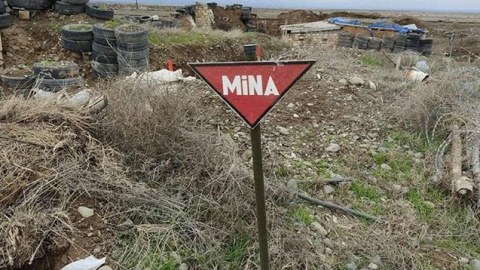 1 həftədə 53 mina zərərsizləşdirildi