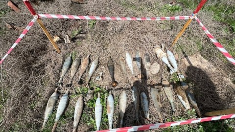 Qubadlıda 73 minaatan mərmisi tapıldı