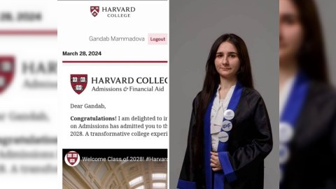 Azərbaycanlı qız Harvard Universitetinə qəbul olunub