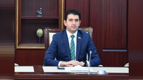 Parlament diplomatiyası danışıqlara töhfə verəcək - Deputat