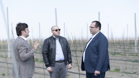 Məcnun Məmmədov Quba, Qusar və Xaçmazdakı təsərrüfatlara baş çəkib