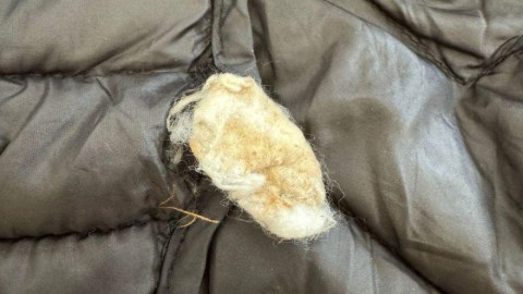 Həbsdəki dostuna heroin keçirmək istədi, YAXALANDI
