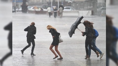 Hazırda ən güclü külək Bakıda əsir - FAKTİKİ HAVA