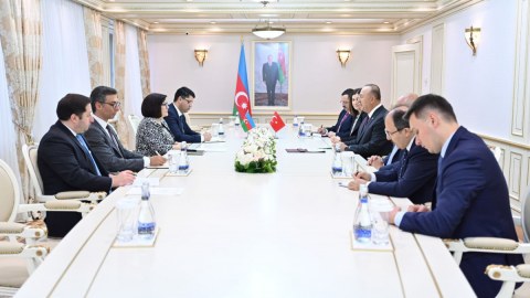 Sahibə Qafarova Mövlud Çavuşoğlu ilə görüşdü