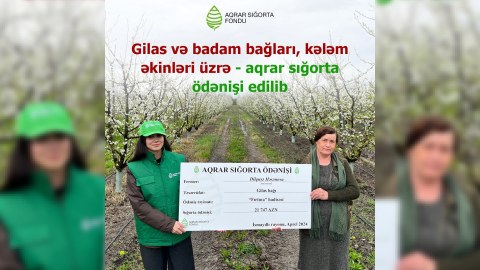 Fermerlərə aqrar sığorta ödənişi edildi - FOTO