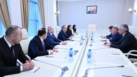 Tatarıstanın nümayəndə heyəti Milli Məclisdə