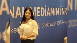 Təhsil mediada necə əks olunur?