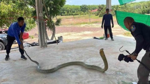 Maşından 16 kiloqram ağırlığında ilan çıxdı