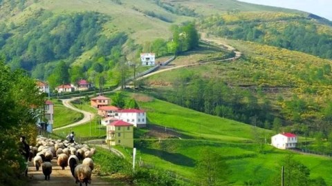 Qarabağda kirayə evlər Bakıdan bahadır - REPORTAJ