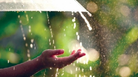 Hava şəraiti arabir yağıntılı olub
