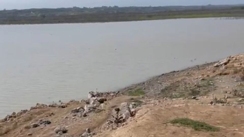 Şəmkir su anbarındakı torlar yığışdırıldı