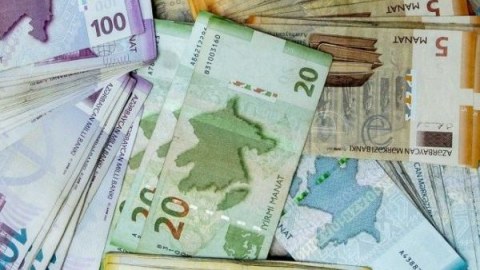 Toxum alınmadığı halda subsidiya ödənilib - Palata