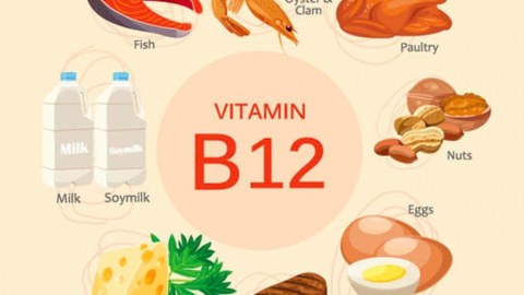 B12 vitamini xroniki iltihabı azaldır