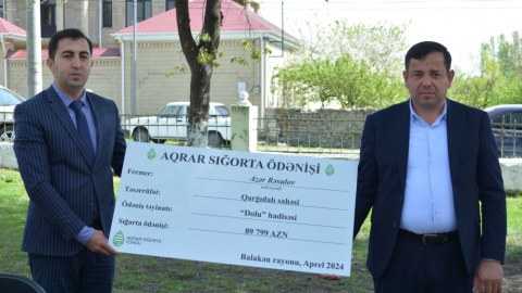 Qarğıdalı sahəsi üzrə aqrar sığorta ödənişi edildi