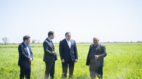 Nazir müavini Neftçalada vətəndaşları qəbul edib - Təsərrüfatlara baş çəkib