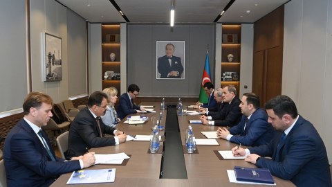 Nazir Avropa nümayəndəsi ilə regionu müzakirə edib