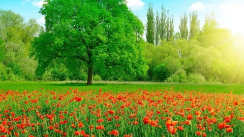 Bu gün temperatur 28 dərəcəyədək yüksələcək