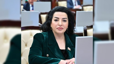 Azərbaycan qlobal ekoloji böhranla mübarizəyə başlayıb