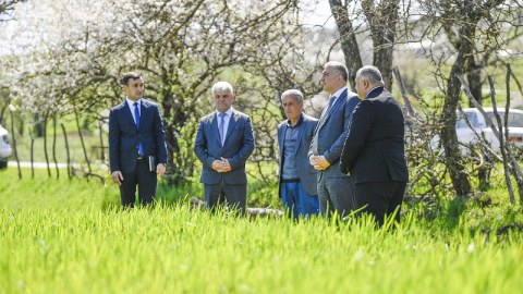 Elçin Zeynalov Lerikdə vətəndaşları qəbul edib - Təsərrüfatlara baş çəkib