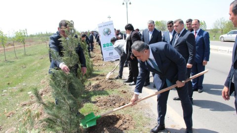 Goranboyda növbəti ağacəkmə aksiyası təşkil olunub