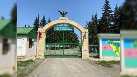 Bu il Ağgöl Milli Parkında 78 minə yaxın ornitofauna nümunəsi qeydə alınıb