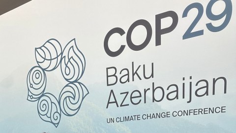 COP29-a görə vergi güzəştləri olacaq