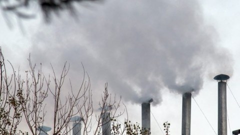 Havanı çirkləndirən şadlıq sarayları cərimələndi