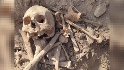 Malıbəylidə kütləvi məzarlıq - 6 nəfərin sümükləri aşkarlandı
