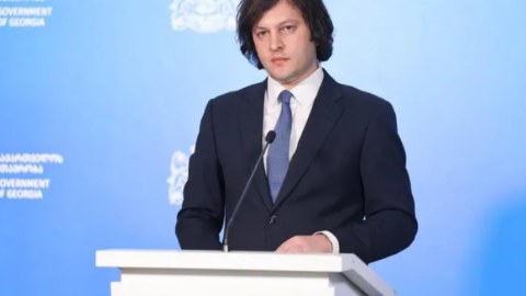 Kobaxidze Avropa Parlamenti barədə sərt danışdı