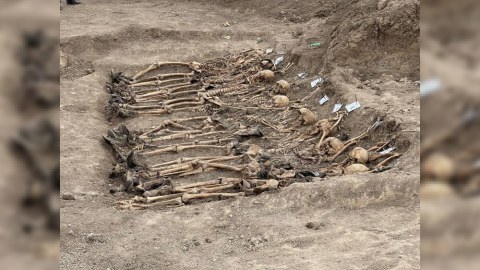 İtkin düşmüş 120 nəfərin şəxsiyyətinin eynilişdirilməsi başa çatıb