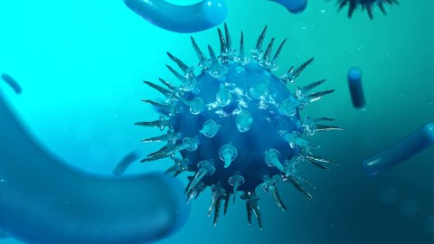 Azərbaycanda koronavirus 