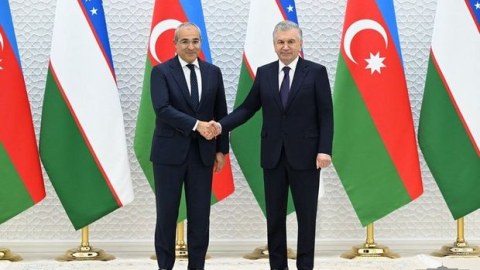 Mikayıl Cabbarov Mirziyoyevlə nələrdən danışdı...