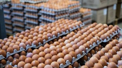 Rusiyanın yumurta böhranı: Biznesmenlər daha çox pul qazanıb...