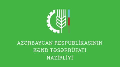 Nazirliyin mətbuat xidmətinə yeni TƏYİNAT