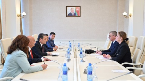 Parlamentdə bosniyalı deputatlarla görüş keçirilib