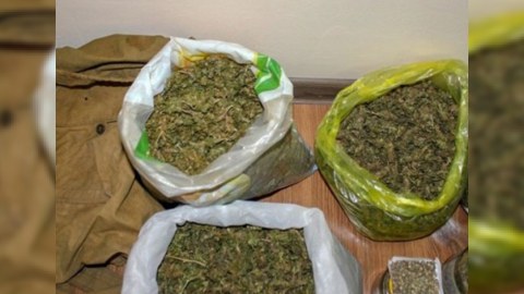 Ötən gün 34 kiloqram narkotik dövriyyədən çıxarılıb