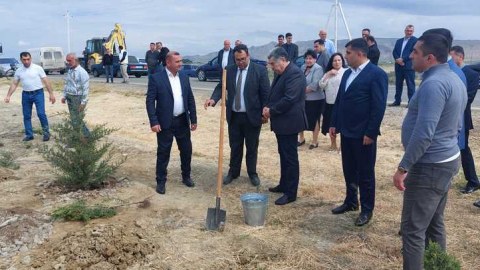 Hacıqabulda ağacəkmə aksiyası - FOTOLAR