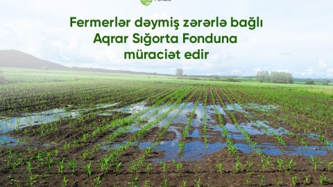 Selin təsərrüfatlara vurduğu zərərlə bağlı 20 müraciət daxil olub - RƏSMİ
