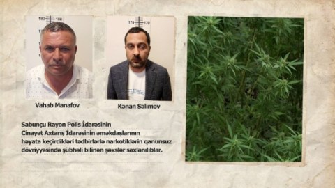 Polis Bakıda narkoplantasiya aşkarladı - VİDEO