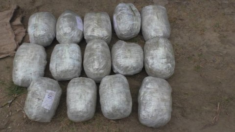 Saxlanılan şəxslərdə 14 kiloqram marixuana aşkarlandı