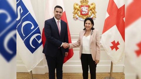 ATƏT sədri Gürcüstan Prezidenti ilə görüşüb