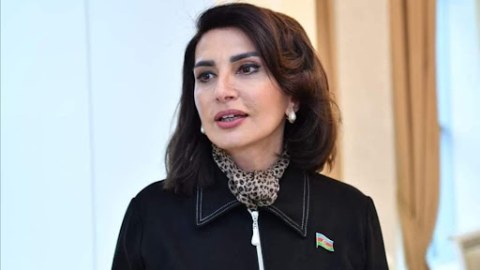 İşsiz kişilərin aliment ödəməsi üçün çıxış yolları tapılmalıdır - DEPUTAT