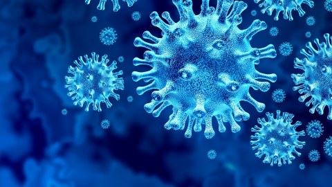 Koronavirusun yeni ştammı sürətlə yayılır - FLİRT