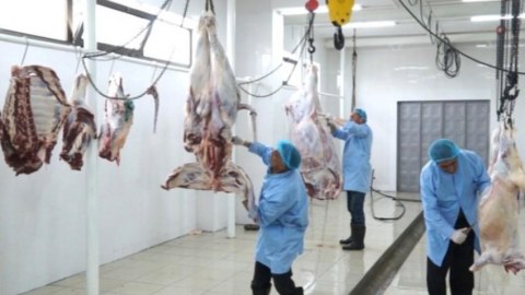 Heyvan kəsimi məntəqələri mövcud olmayan rayonlar - SİYAHI