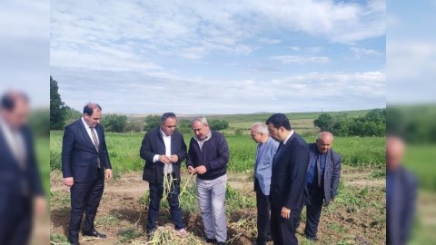 Goranboyda aqrar sektorun inkişaf sahələri genişləndirilib - FOTO