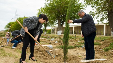 Əkinçilik Elmi-Tədqiqat İnstitutunun ərazisində ağacəkmə aksiyası - FOTO