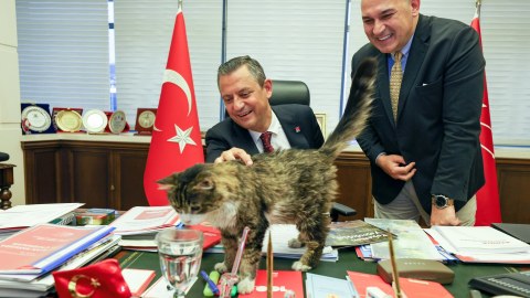 CHP-nin pişiyi sağalıb, qərargaha geri dönüb - PAYLAŞIM