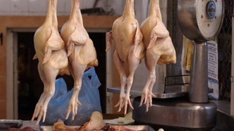Kənd toyuğunun qiyməti ARTDI