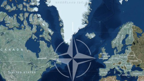 NATO-nun şərq cinahında lazım olan HHM vasitələrinin 5 faizi var